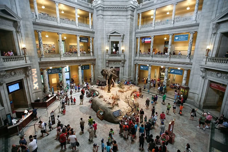 1280px smithsonian institution national museum of natural history 7508870948 768x512