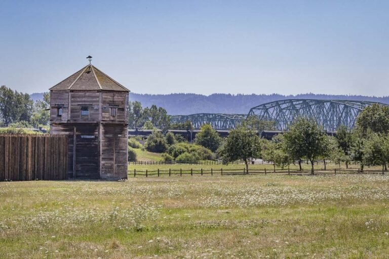 Clark County Today CCToday Wall 12 768x512