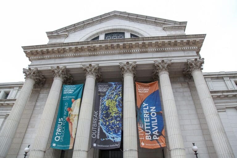 Exterior view of The National Museum of Natural History Washington DC 2018 768x512