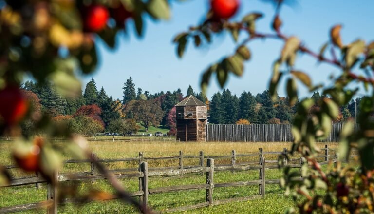 Fort Vancouver National Historic Site 1600 768x439