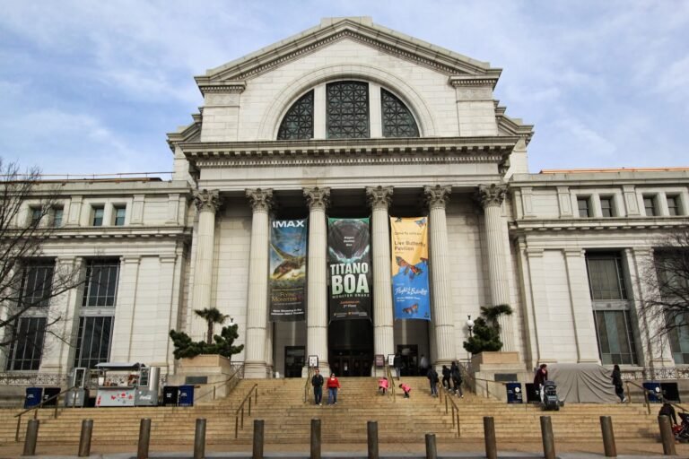 National History Museum in Washington DC USA 768x512