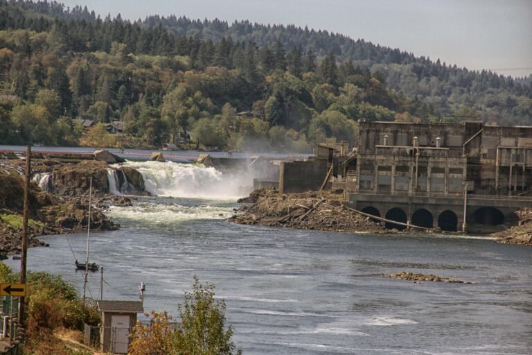 day8 img 6242 768x512