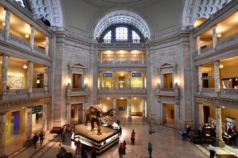 michellefortephotography overview of museum of natural history atrium mydccool via crowdriff 768x512