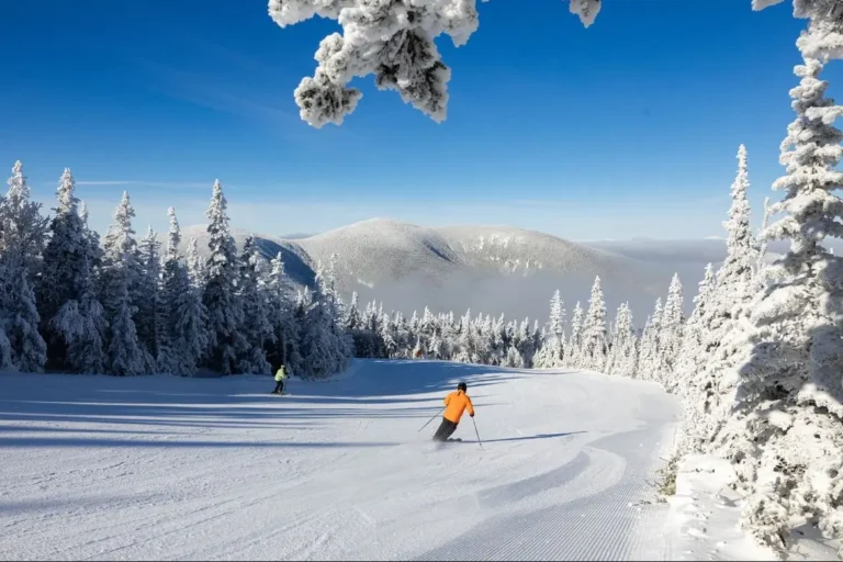 IMG 55DBF883EA5A 1 768x512